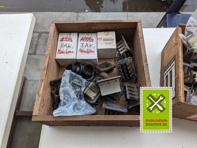 PXL_20240518_155452032